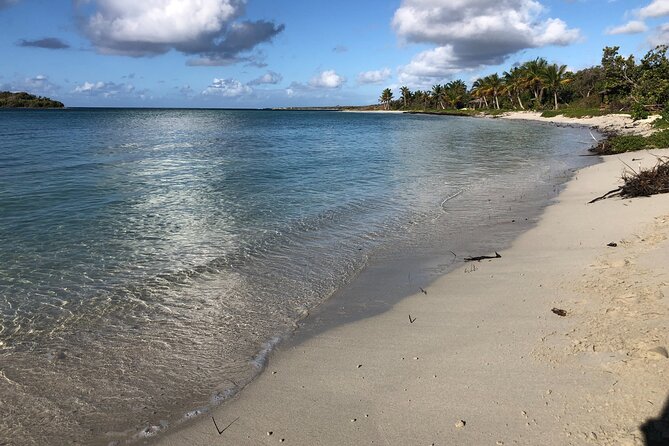 Isla de Vieques Beach Hopper Sightseeing Tour - Three Vieques beaches, one compact morning