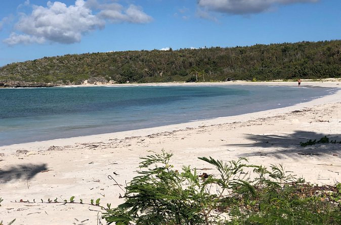 Isla de Vieques Beach Hopper Sightseeing Tour - Who will enjoy this beach hopper most