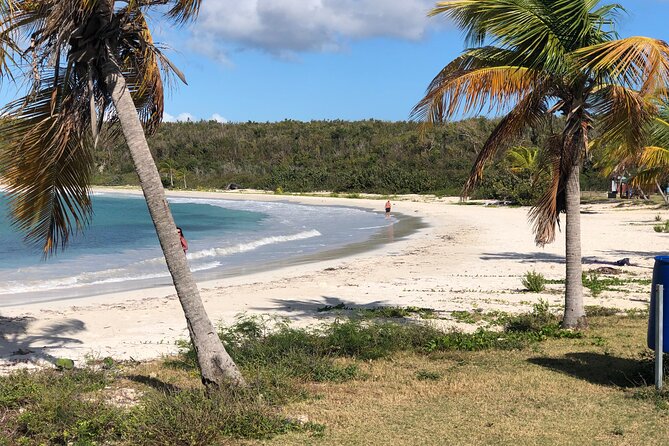 Isla de Vieques Beach Hopper Sightseeing Tour - Is the $90 price fair?