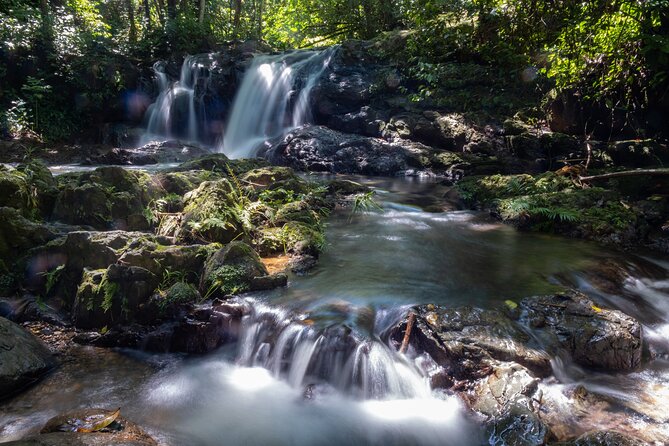 Jungle and Waterfall Adventure - Why This San Juan Excursion Works
