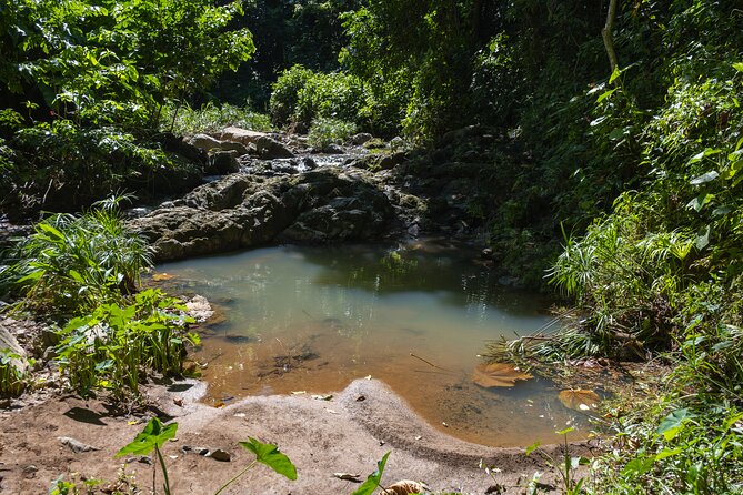 Jungle and Waterfall Adventure - Charco Prieto Waterfall Time