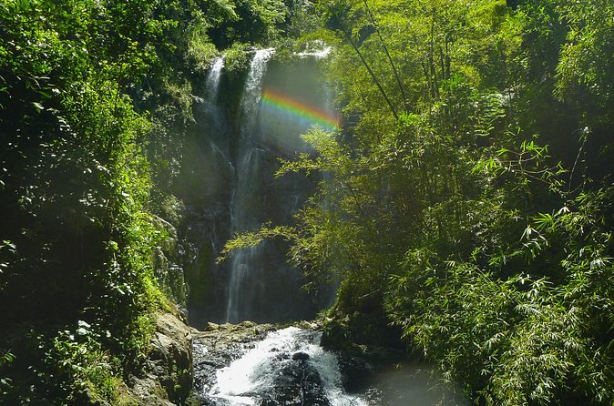Jungle and Waterfall Adventure - The Human Side of the Day