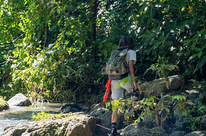 Jungle and Waterfall Adventure - Who Will Get the Most From This Adventure