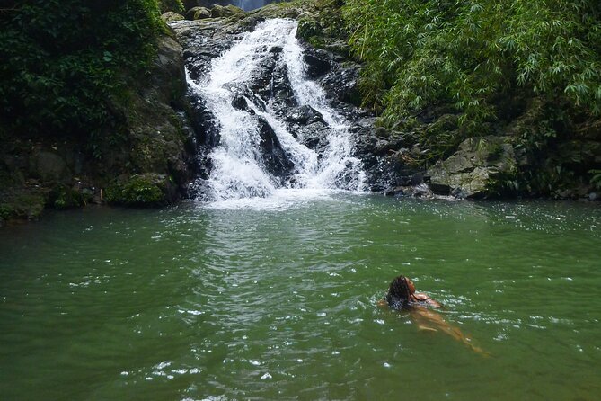 Jungle and Waterfall Adventure - Walking Through the Rio Prieto Forest