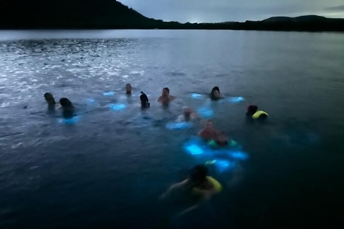 La Parguera Bio Bay Boat Ride and Swimming w/ San Juan Transport - What Makes La Parguera’s Glow Special