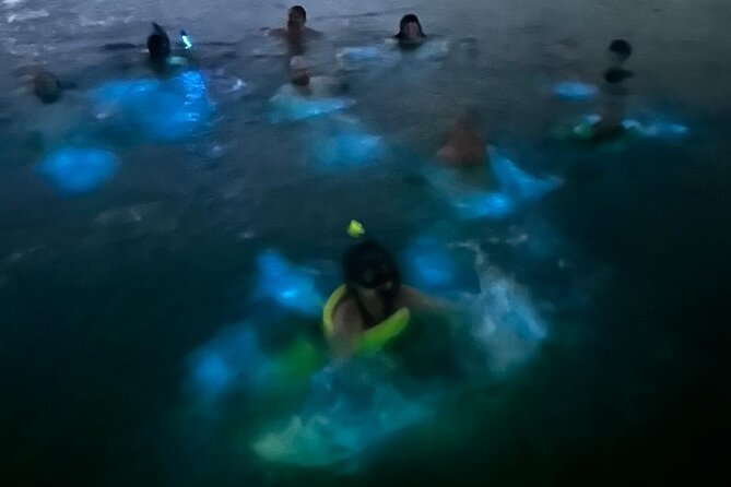 La Parguera Bio Bay Boat Ride and Swimming w/ San Juan Transport - Swimming Among The Sparkles