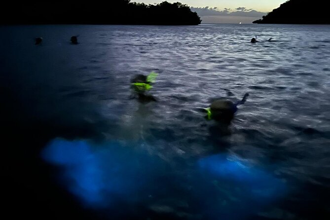 La Parguera Bio Bay Boat Ride and Swimming w/ San Juan Transport - Photography, Moonlight, And Realistic Expectations