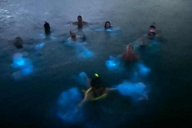 La Parguera Bio Bay Boat Ride and Swimming w/ San Juan Transport - Is The $54.99 Price A Good Deal?