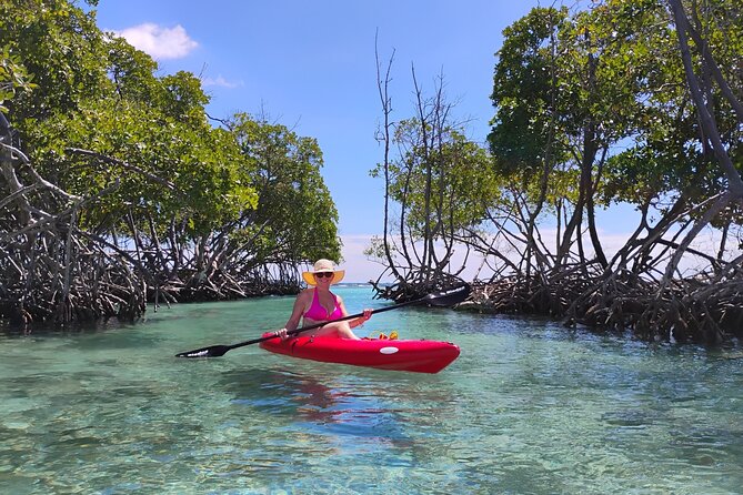 La Parguera Boat Charter with Captain: Kayak & Snorkel - Leaving Punta Papayo at 10:00 a.m.
