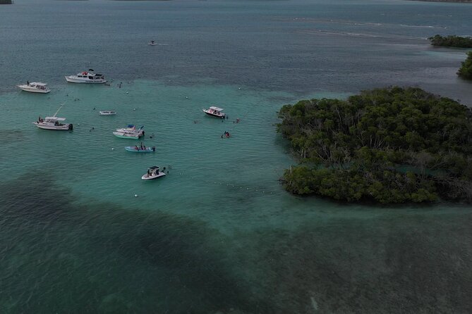 La Parguera Glowing Bioluminescent Bay Boat Tour from San Juan - A 2:00 p.m. start, with pickup details to watch