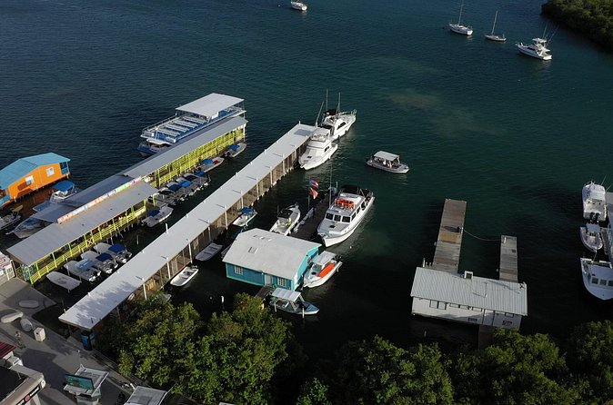 La Parguera Glowing Bioluminescent Bay Boat Tour from San Juan - Guides make a long day feel easier