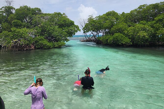 La Parguera Private Boat Charter - Captain Angel and the value of a local guide