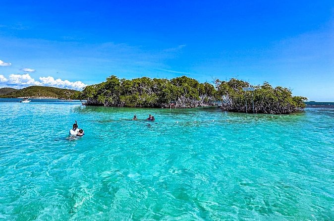 La Parguera Private Boat Charter - What to bring aboard for four hours