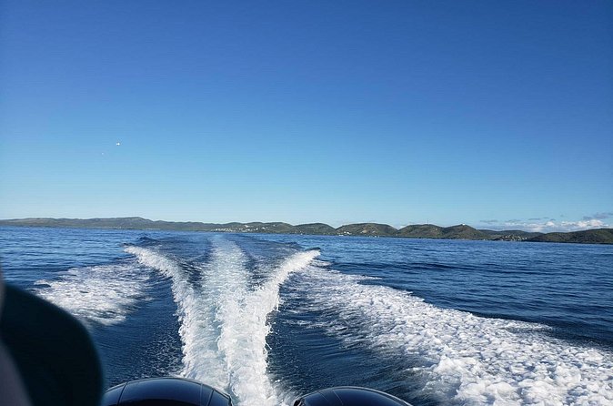 La Parguera Private Boat Charter - Is $200 per person a fair price?