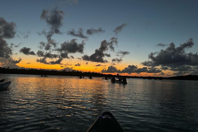 Laguna Grande Night Kayaking Bio Bay - Key points to know before you go