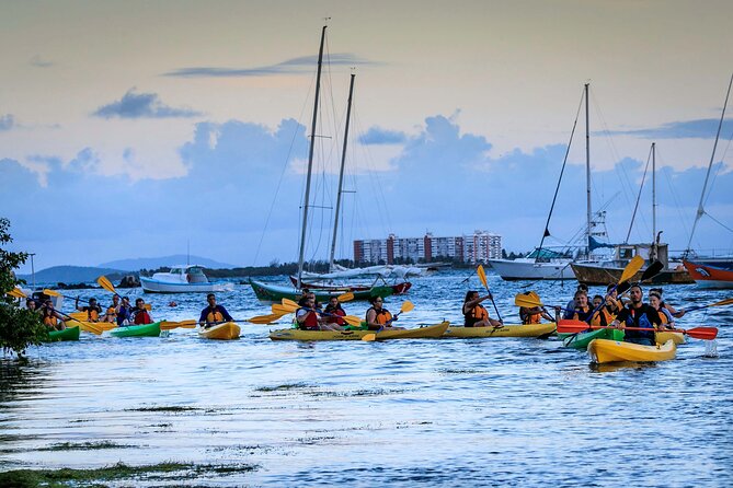Laguna Grande Night Kayaking Bio Bay - From hotel pickup to Kayak Village