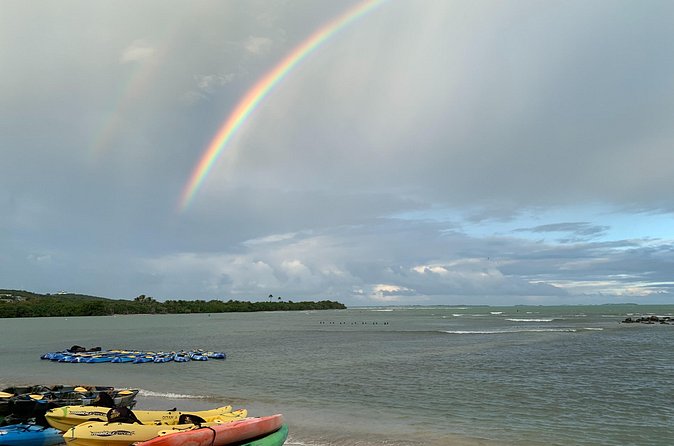 Laguna Grande Night Kayaking Bio Bay - Is $115 a fair price?