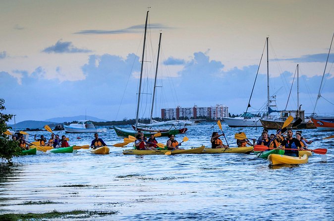 Laguna Grande Night Kayaking Bio Bay - Paddling the mangrove channel in darkness
