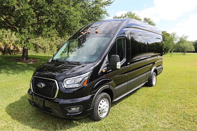 Luxury Private Car SJU Arrival or Departure Airport Pickup - Who will like this service most?