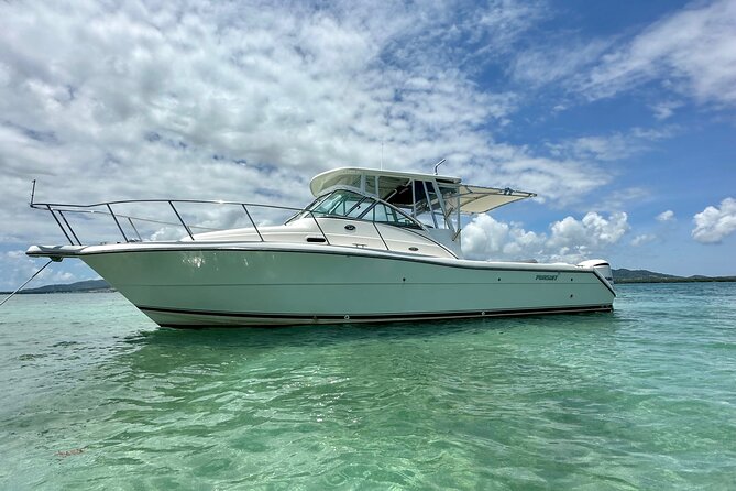Luxury Private Tour to Fajardo Keys—Snorkeling & Island Adventure - Who will enjoy this Fajardo boat trip most?