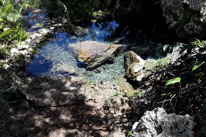 Mountain Bike tour to a Pristine Spring and Cave - Who will enjoy this experience most?
