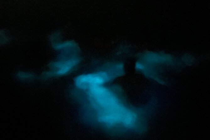 Mystic Waters A Bioluminescent Night Tour - Key points at a glance