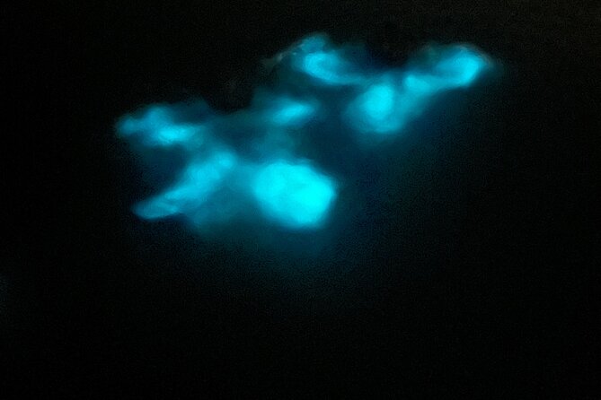 Mystic Waters A Bioluminescent Night Tour - Reaching La Parguera for the 8:00 pm departure