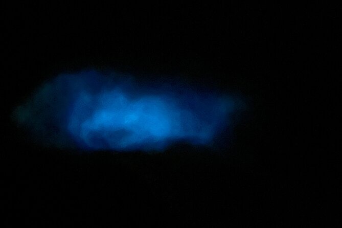 Mystic Waters A Bioluminescent Night Tour - Guides who add warmth to a short tour