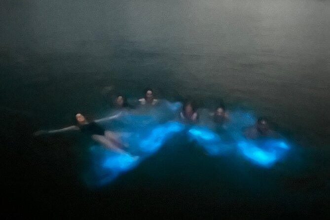 Mystic Waters A Bioluminescent Night Tour - Is $65 a good value?