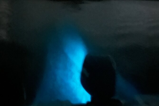 Mystic Waters A Bioluminescent Night Tour - What happens on the boat ride