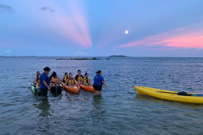 Night Kayaking Experience on Bioluminescent Lagoon in Fajardo - Through the mangroves toward the glowing water