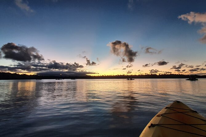 Night Kayaking Experience on Bioluminescent Lagoon in Fajardo - Seeing the bioluminescence in motion