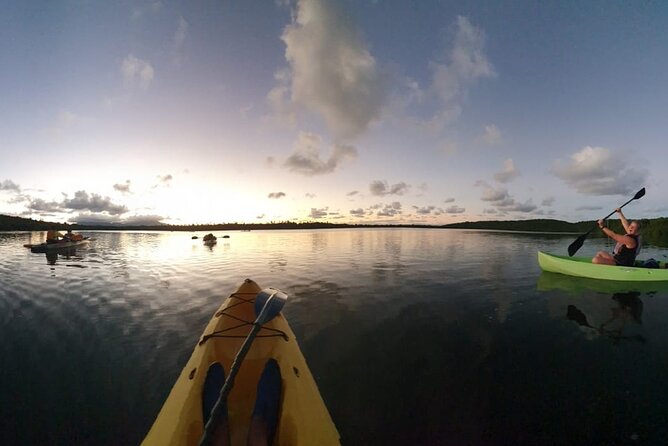 Night Kayaking Experience on Bioluminescent Lagoon in Fajardo - Accessibility and physical requirements