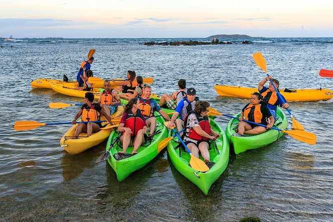Night Kayaking Experience on Bioluminescent Lagoon in Fajardo - What the $79 price includes