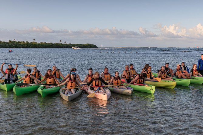 Night Kayaking Experience on Bioluminescent Lagoon in Fajardo - Who will enjoy this most