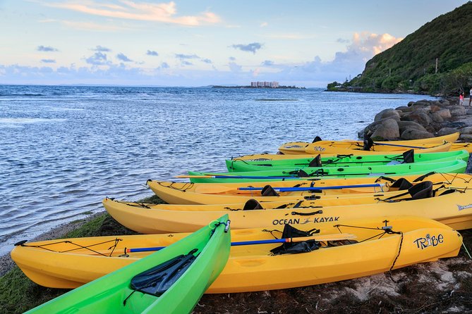 Night Kayaking Experience on Bioluminescent Lagoon in Fajardo - Arriving at Carretera Cabezas de San Juan