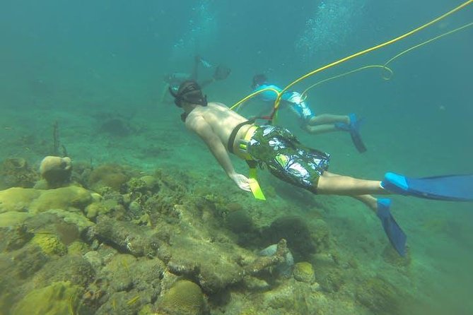 OCTOPUS DIVING (hookah diving) NO Experience Needed - Key Points Before You Book