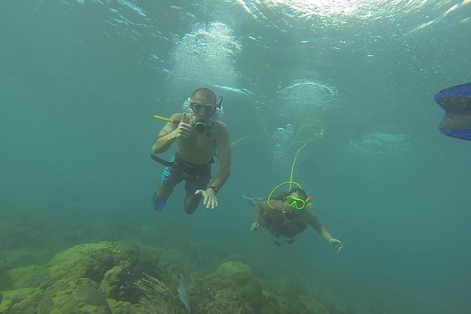 OCTOPUS DIVING (hookah diving) NO Experience Needed - What Octopus Diving Actually Feels Like