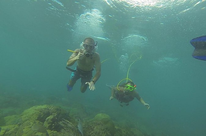 OCTOPUS DIVING (hookah diving) NO Experience Needed - Starting at Steps Beach in Rincón
