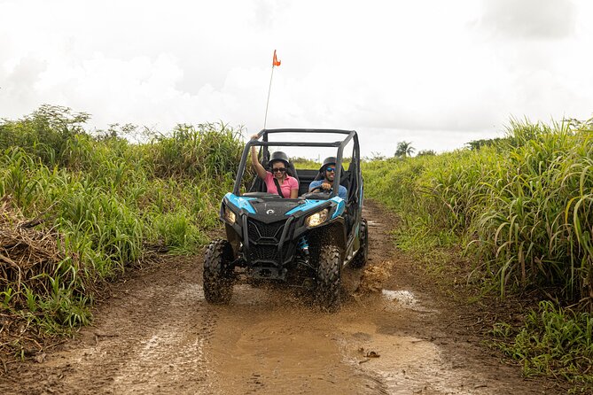 Off-Road UTV Tour : Explore Puerto Rico minutes from San Juan - Is $128.50 a fair price for two hours?