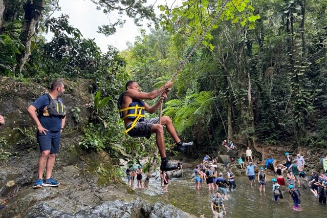 "Off the beaten path" Rain Forest Guided hike with Transportation - What makes this El Yunque hike different