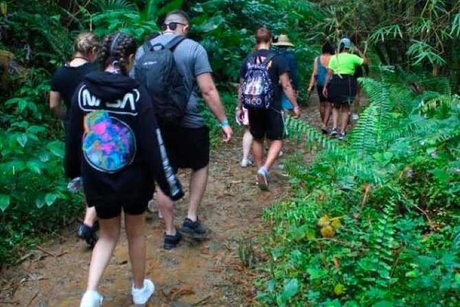 "Off the beaten path" Rain Forest Guided hike with Transportation - Rivers, waterfalls, and the less polished side of the route