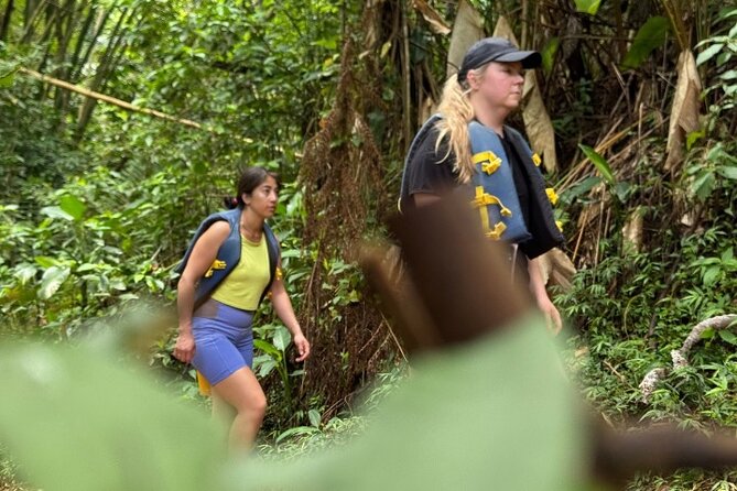 "Off the beaten path" Rain Forest Guided hike with Transportation - Weather can change the whole day