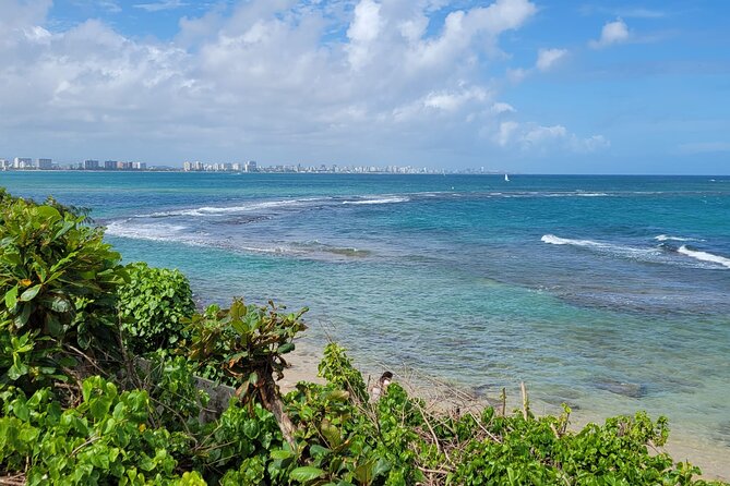 Old San Juan and Piñones Sightseeing Experience! - Who will enjoy this half-day tour
