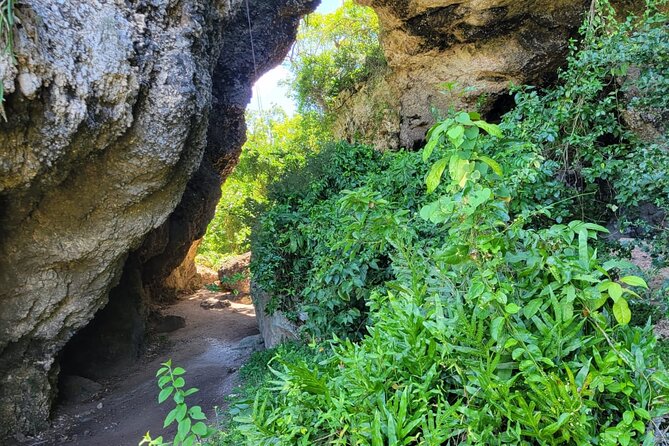 Old San Juan and Piñones Sightseeing Experience! - Should you book Old San Juan and Piñones?