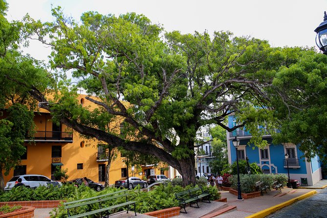 Old San Juan and Rum Factory Full-Day Tour: Minimum 8+ people - The small-group format and the eight-person minimum