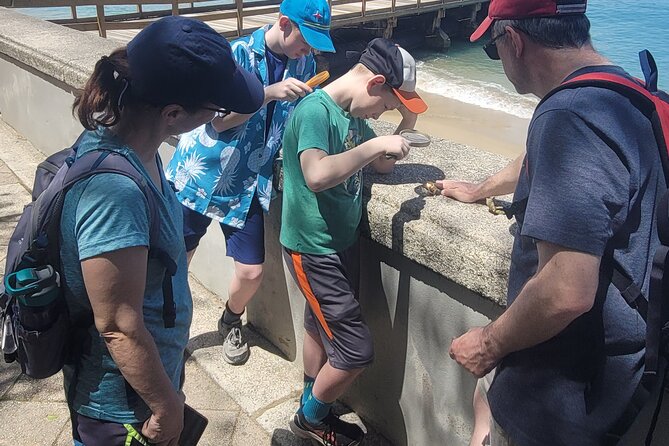 Old San Juan Family Fun Tour: Science/History/ Yummy treats - A final pause at Parque de las Palomas