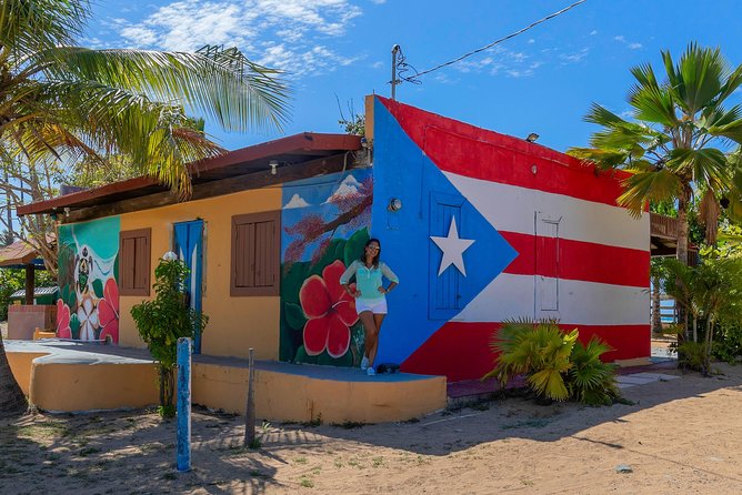 Old San Juan & Loiza African Town Full-Day Tour: Minimum 8+people - What the guide adds to the day