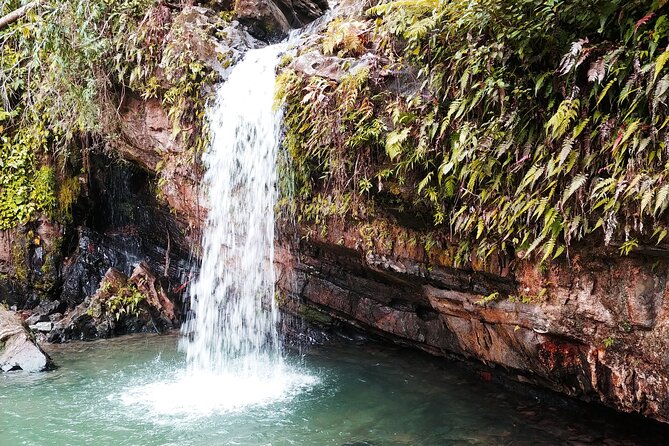 Original Tropical Rainforest and Beach Adventure - Why This Puerto Rico Combo Tour Works