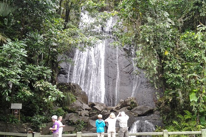 Original Tropical Rainforest and Beach Adventure - What Makes the Forest Stop Worthwhile
